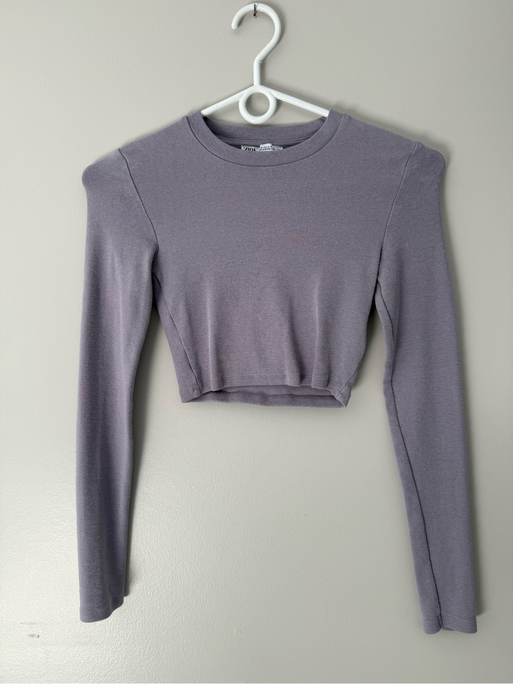 Zara basic long sleeve cropped